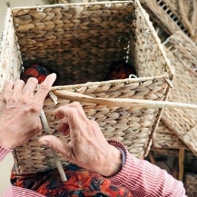 Quy trình xử lý đan lục bình